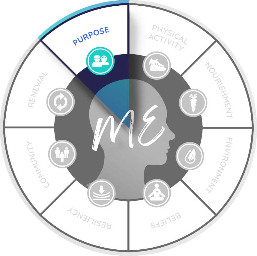 Eight Dimensions Chart focused on Purpose