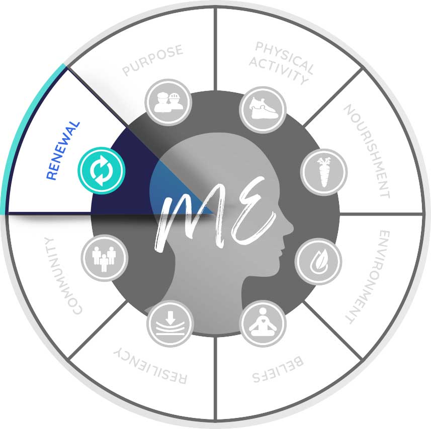 Eight Dimensions Chart focused on Renewal