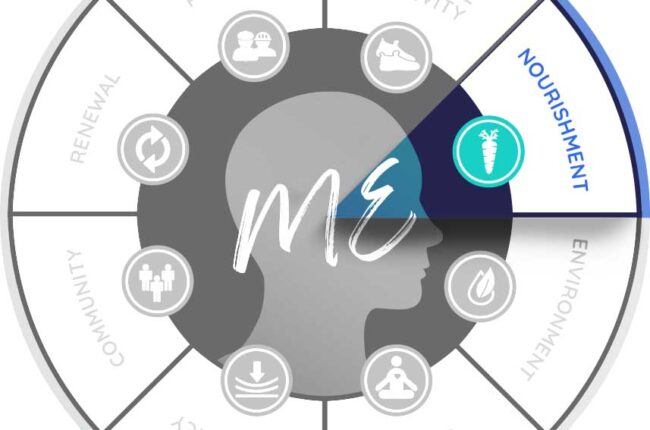 Eight Dimensions Chart focused on Nourishment