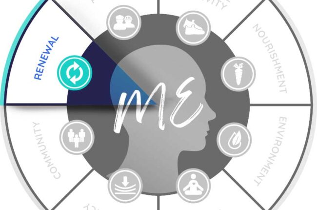 Eight Dimensions Chart focused on Renewal