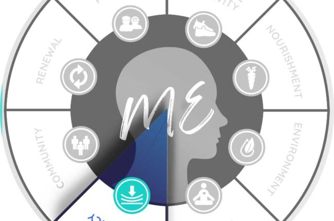 Eight Dimensions Chart focused on Resiliency